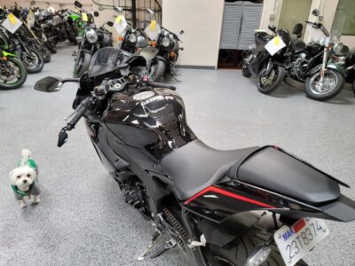 2017 Yamaha R1