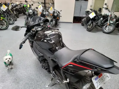 2017 Yamaha R1