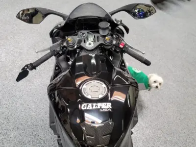 2017 Yamaha R1