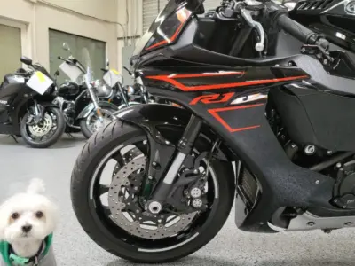 2017 Yamaha R1