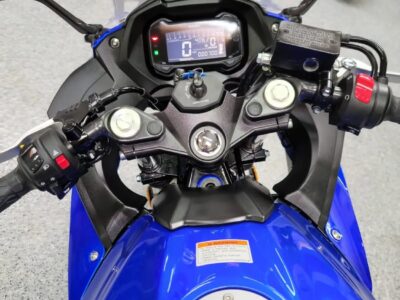 2019 SUZUKI GSX250R  GSXR 250
