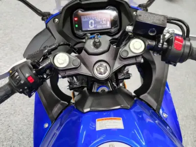 2019 SUZUKI GSX250R  GSXR 250