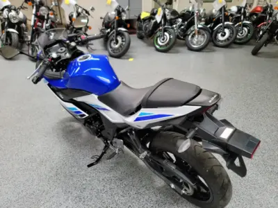 2019 SUZUKI GSX250R  GSXR 250