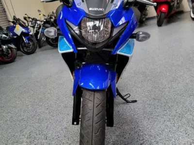 2019 SUZUKI GSX250R  GSXR 250