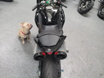 2011 Yamaha R1 Crossplane Raven