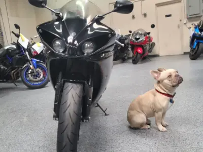 2011 Yamaha R1 Crossplane Raven