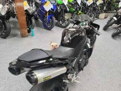 2011 Yamaha R1 Crossplane Raven