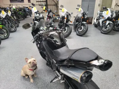 2011 Yamaha R1 Crossplane Raven