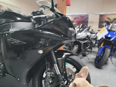 2011 Yamaha R1 Crossplane Raven