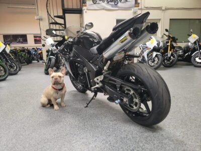 2011 Yamaha R1 Crossplane Raven
