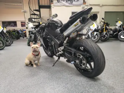 2011 Yamaha R1 Crossplane Raven