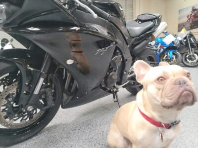 2011 Yamaha R1 Crossplane Raven