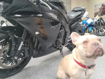 2011 Yamaha R1 Crossplane Raven
