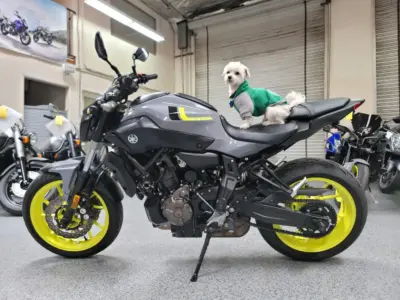 2016 Yamaha FZ07 FZ-07