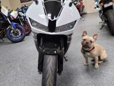 2015 Honda CBR600RR