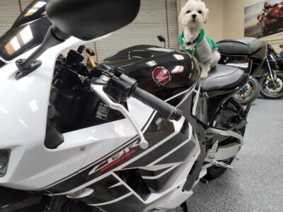 2015 Honda CBR600RR