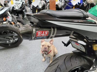 2015 Honda CBR600RR