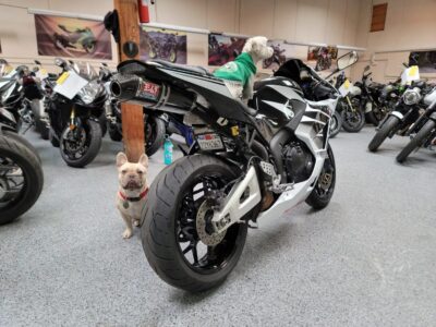 2015 Honda CBR600RR
