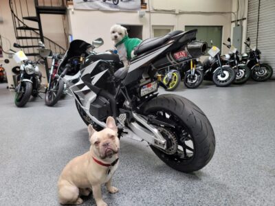 2015 Honda CBR600RR