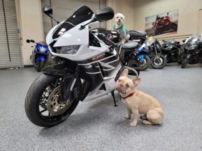 2015 Honda CBR600RR
