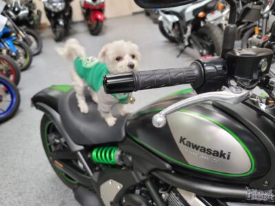 2016 Kawasaki Vulcan S ABS
