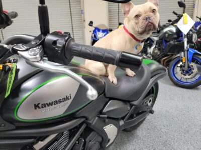 2016 Kawasaki Vulcan S ABS