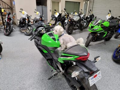 2013 Kawasaki Ninja 300