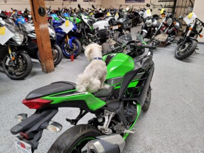 2013 Kawasaki Ninja 300