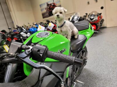2013 Kawasaki Ninja 300