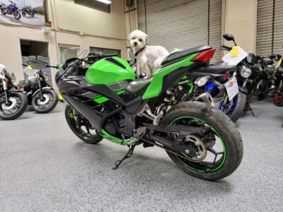 2013 Kawasaki Ninja 300