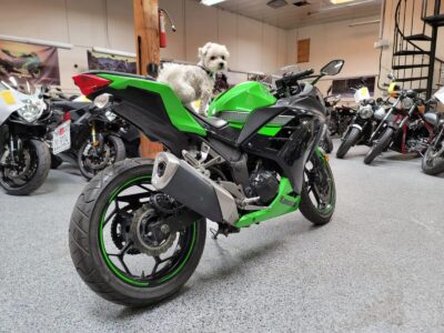 2013 Kawasaki Ninja 300