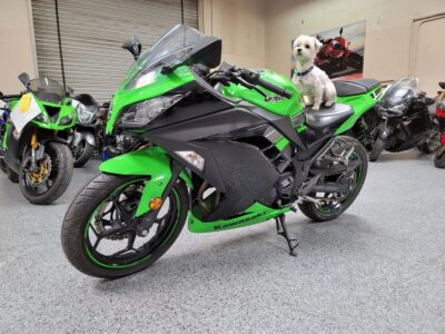 2013 Kawasaki Ninja 300