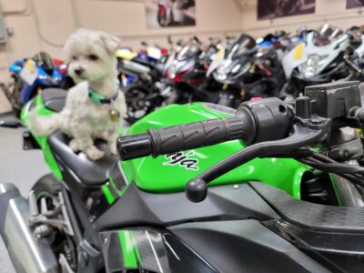 2013 Kawasaki Ninja 300