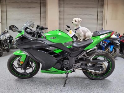2013 Kawasaki Ninja 300