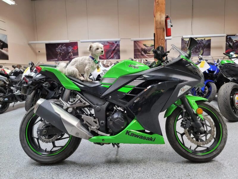 2013 Kawasaki Ninja 300