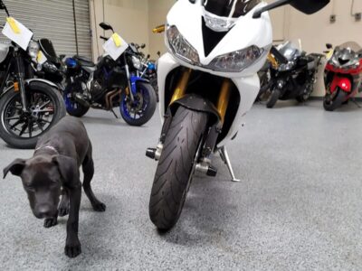 2014 TRIUMPH DAYTONA 675R