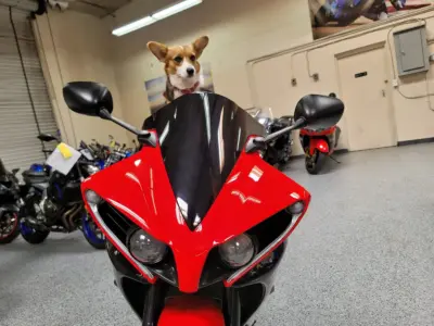 2013 Yamaha R1 Crossplane