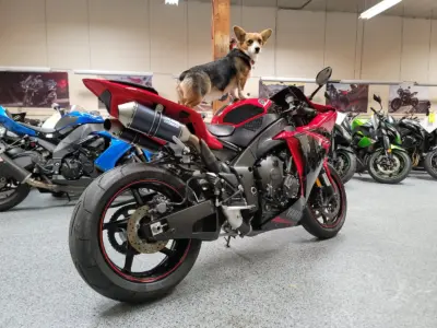 2013 Yamaha R1 Crossplane