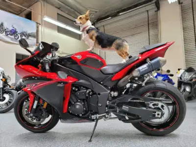 2013 Yamaha R1 Crossplane