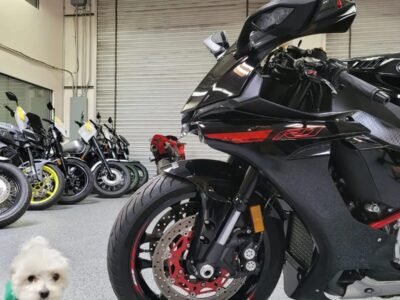 2015 Yamaha R1 RAVEN