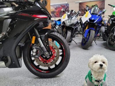 2015 Yamaha R1 RAVEN