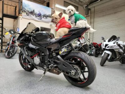 2015 Yamaha R1 RAVEN