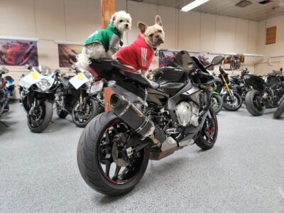 2015 Yamaha R1 RAVEN