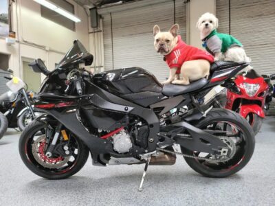 2015 Yamaha R1 RAVEN