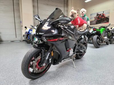2015 Yamaha R1 RAVEN