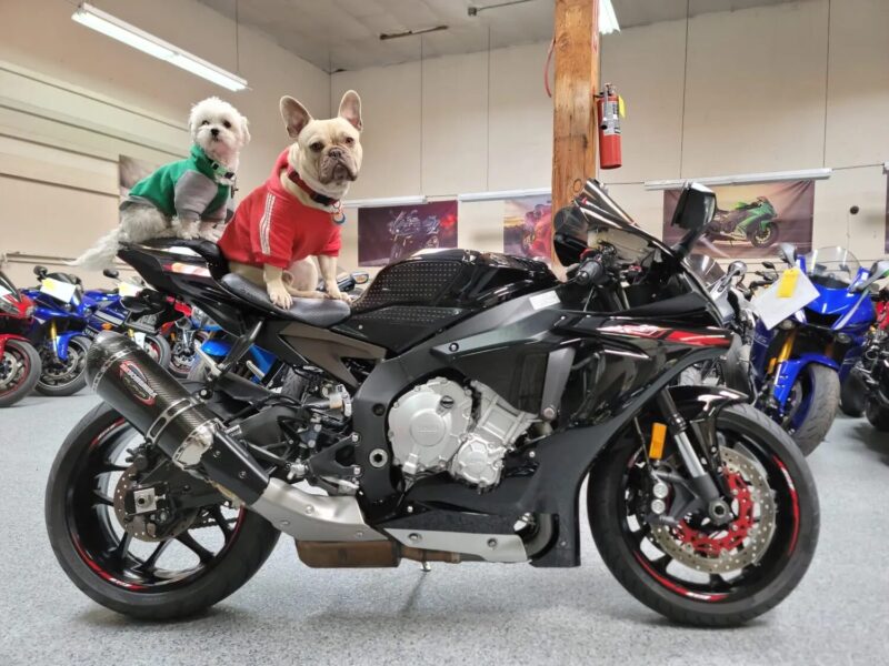 2015 Yamaha R1 RAVEN