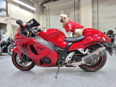 2008 Suzuki Hayabusa GSX1300R
