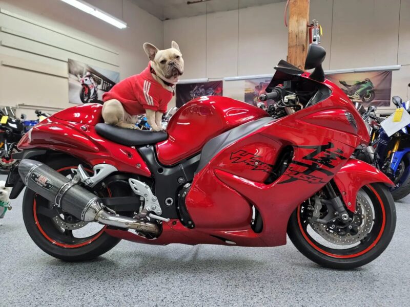 2008 Suzuki Hayabusa GSX1300R