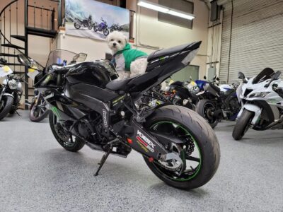 2009 Kawasaki Ninja ZX6R MONSTER EDITION
