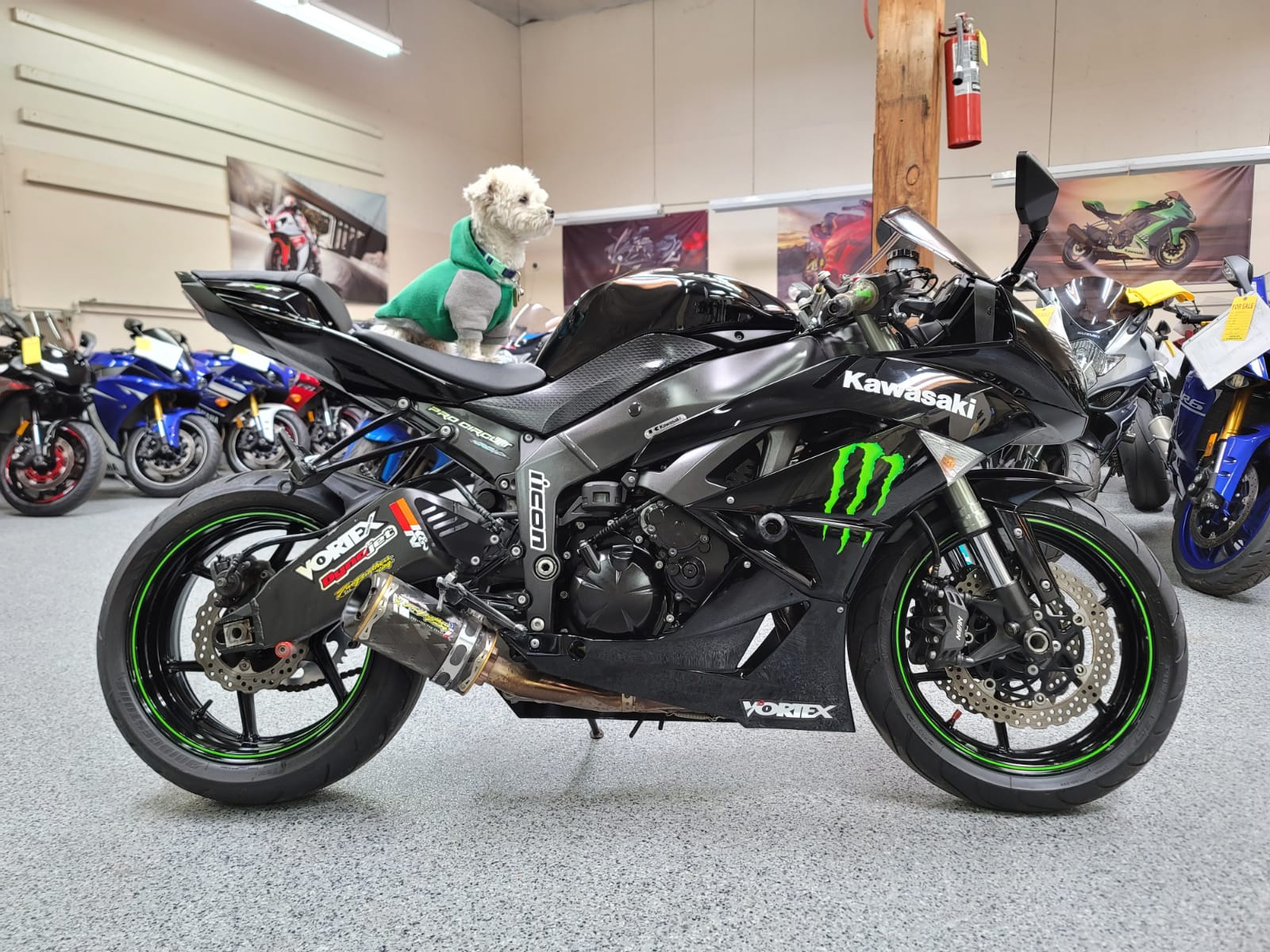 2009 Kawasaki Ninja ZX6R MONSTER EDITION - 29000 Miles | AK Motors